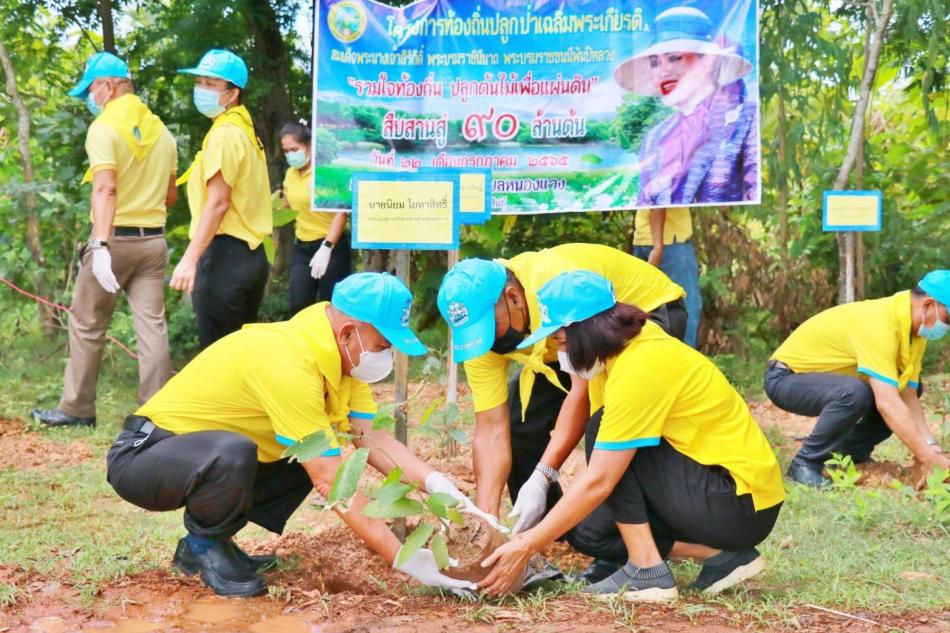 โครงการท้องถิ่นปลูกป่าเฉลิมพระเกียรติสมเด็จพระเจ้าสิริกิติ์ 