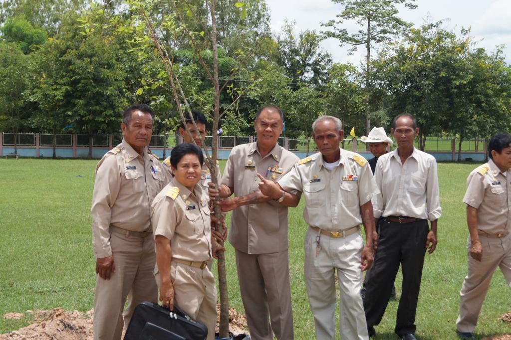 ปลูกต้นแคนา เฉลิมพระเกียรติ 12 สิงหามหาราชินี 2557